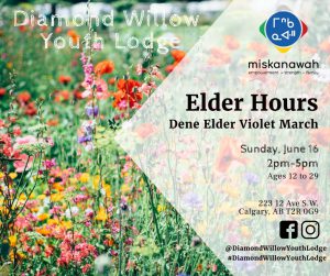 Elder Hours hosted with miskanawah & Diamond Willow Youth Lodge @ Diamond Willow Youth Lodge