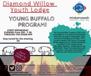 Young Buffalo Program @ Diamond Willow Youth Lodge - Zoom Meeting