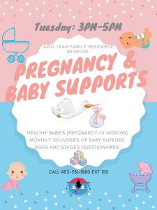 Pregnancy & Baby Supports | Awo Taan Family Resource Network